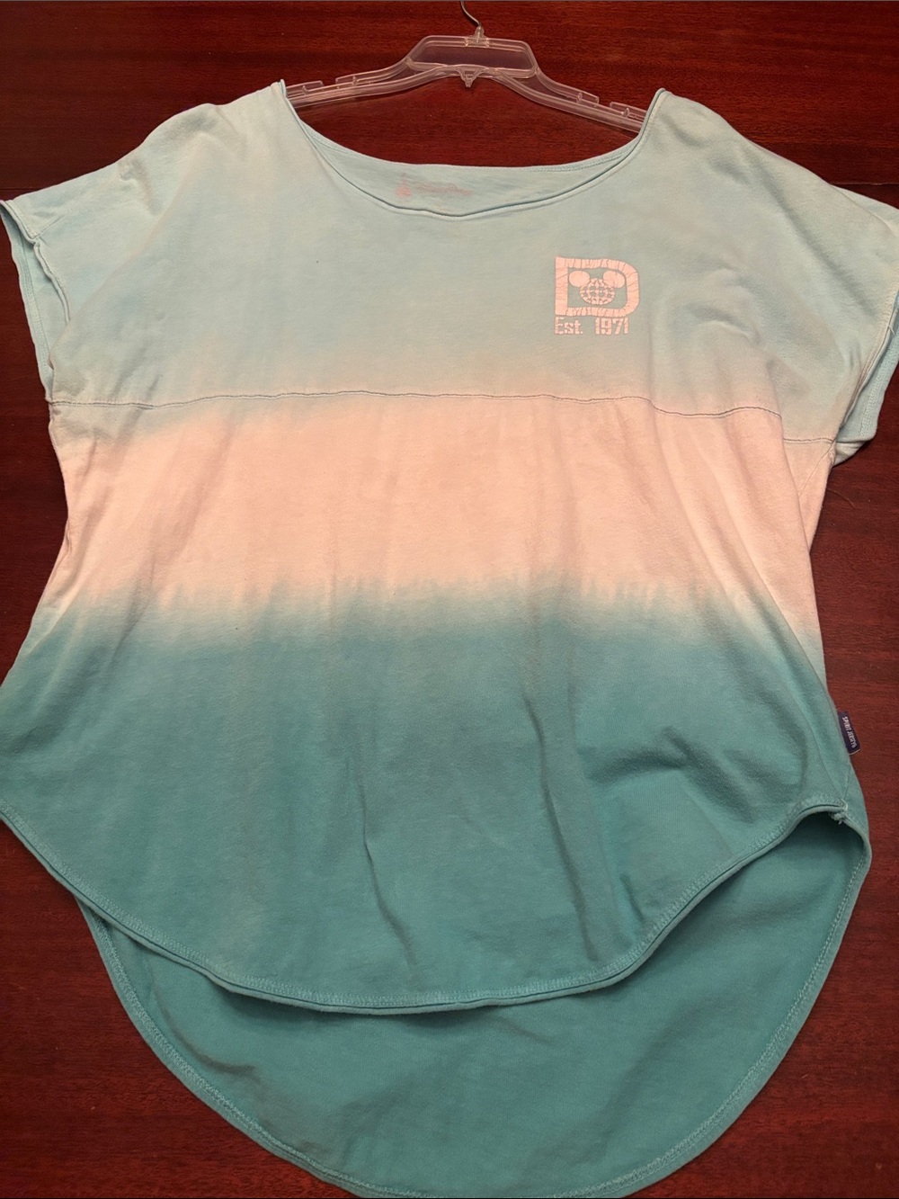 Walt Disney World Spirit Jersey Short Sleeved Muted Aqua Medium M